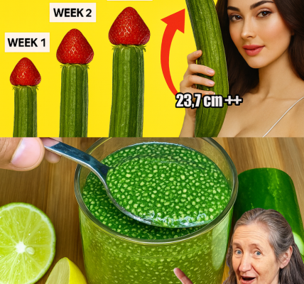 🍋🥒 Lemon and Cucumber: The Ultimate Health-Boosting Duo You Need Now!