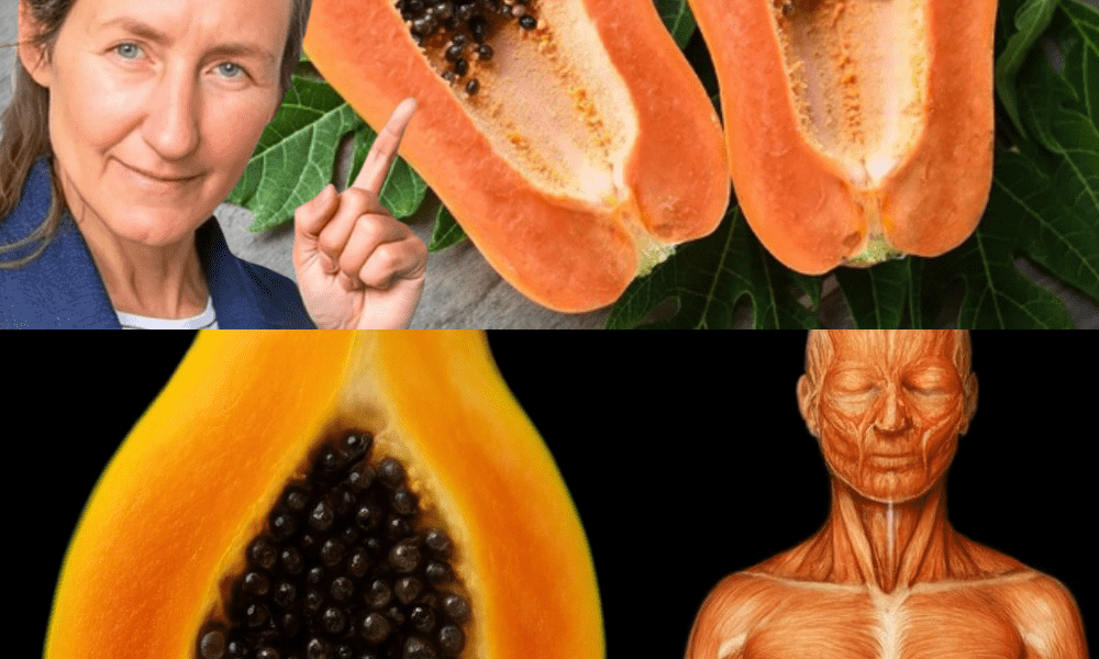 🌱 Papaya Seeds Unveiled: 16 Life-Changing Health Benefits You Need to Know Now 🌱 Papaya Seeds Unveiled: 16 Life-Changing Health Benefits You Need to Know Now