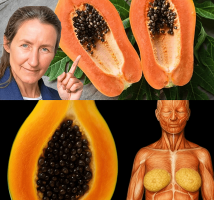 🌱 Papaya Seeds Unveiled: 16 Life-Changing Health Benefits You Need to Know Now 🌱 Papaya Seeds Unveiled: 16 Life-Changing Health Benefits You Need to Know Now