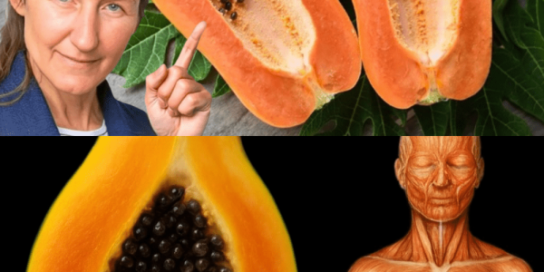 🌱 Papaya Seeds Unveiled: 16 Life-Changing Health Benefits You Need to Know Now 🌱 Papaya Seeds Unveiled: 16 Life-Changing Health Benefits You Need to Know Now