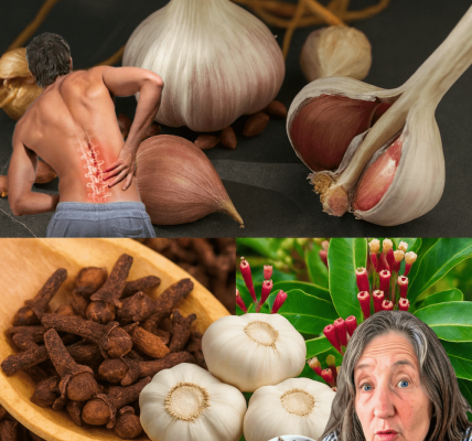 Unlock Pain-Free Movement: The Garlic and Clove Oil Secret That Transformed My Mother’s Life 🌿 Unlock Pain-Free Movement: The Garlic and Clove Oil Secret That Transformed My Mother’s Life 🌿