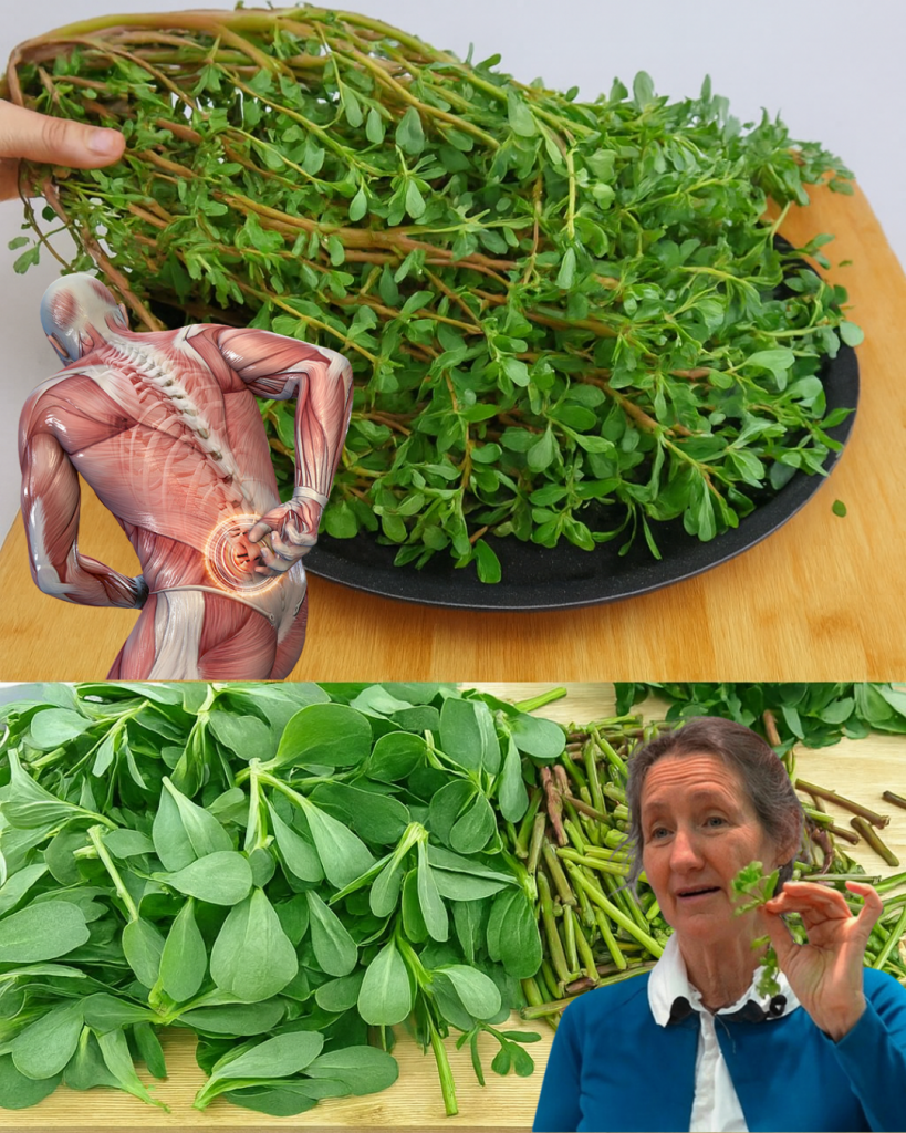 This image has an empty alt attribute; its file name is Thiet-ke-chua-co-ten-62-2-819x1024.png