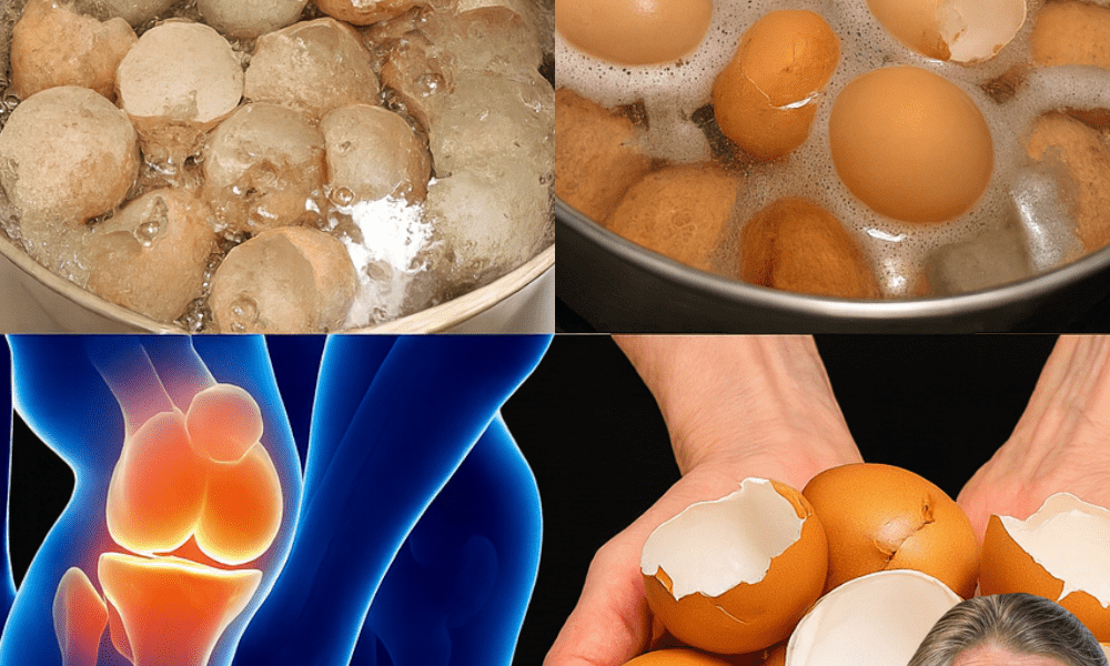 🌟 Crack the Secret to Pain-Free Joints: The Surprising Power of Eggshells for Knee and Bone Health! 🌟 Crack the Secret to Pain-Free Joints: The Surprising Power of Eggshells for Knee and Bone Health!