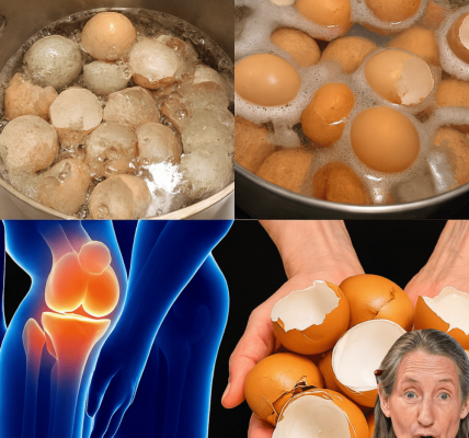 🌟 Crack the Secret to Pain-Free Joints: The Surprising Power of Eggshells for Knee and Bone Health! 🌟 Crack the Secret to Pain-Free Joints: The Surprising Power of Eggshells for Knee and Bone Health!