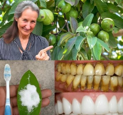 Your Natural Solution for a Radiant Smile Your Natural Solution for a Radiant Smile