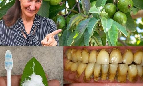 Your Natural Solution for a Radiant Smile Your Natural Solution for a Radiant Smile