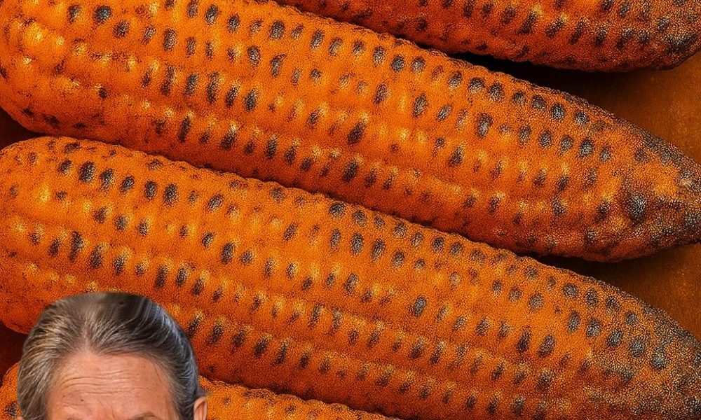 8 Mind-Blowing Secrets About Grilled Corn You Need to Know Before Your Next BBQ 🌽 8 Mind-Blowing Secrets About Grilled Corn You Need to Know Before Your Next BBQ 🌽