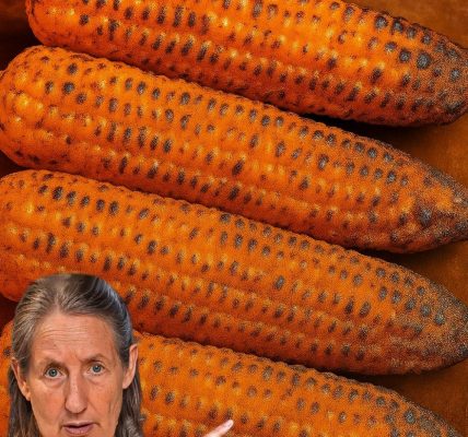 8 Mind-Blowing Secrets About Grilled Corn You Need to Know Before Your Next BBQ đ˝ 8 Mind-Blowing Secrets About Grilled Corn You Need to Know Before Your Next BBQ đ˝