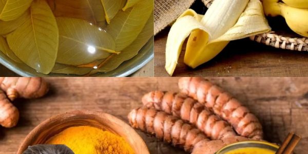 How Banana Peel, Guava, and Turmeric Can Instantly Revive Circulation, Blood Pressure, and Metabolism How Banana Peel, Guava, and Turmeric Can Instantly Revive Circulation, Blood Pressure, and Metabolism