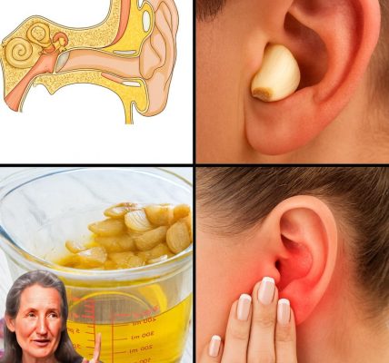Transform Your Ear Health Naturally Transform Your Ear Health Naturally