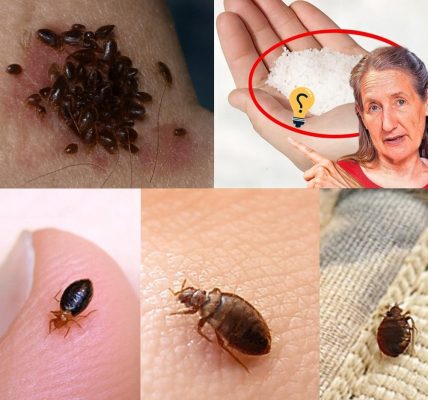 š Vanish Garden Pests in Minutes with This Natural Secret Weapon! š Vanish Garden Pests in Minutes with This Natural Secret Weapon!