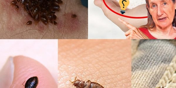 š Vanish Garden Pests in Minutes with This Natural Secret Weapon! š Vanish Garden Pests in Minutes with This Natural Secret Weapon!