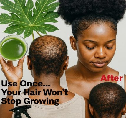 The Hidden Power of Papaya Leaves The Hidden Power of Papaya Leaves