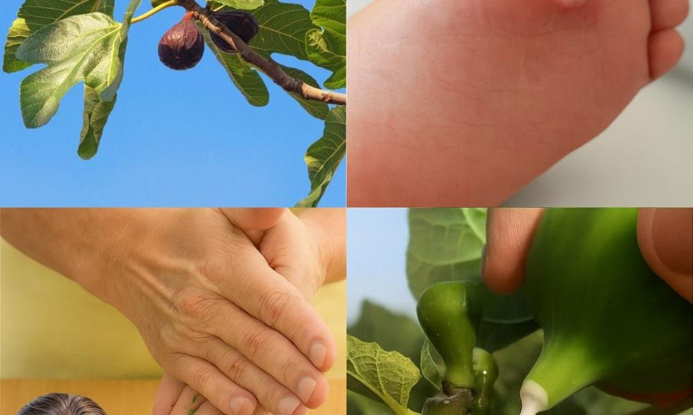 Your Secret to Vibrant Health Your Secret to Vibrant Health