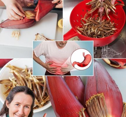 The Exotic Superfood Transforming Your Health and Kitchen šøš The Exotic Superfood Transforming Your Health and Kitchen šøš