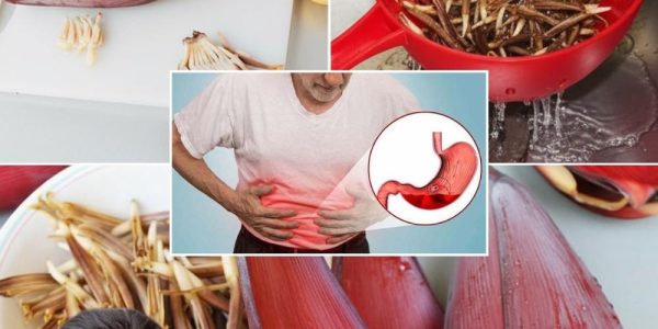 The Exotic Superfood Transforming Your Health and Kitchen 🌸🍌 The Exotic Superfood Transforming Your Health and Kitchen 🌸🍌