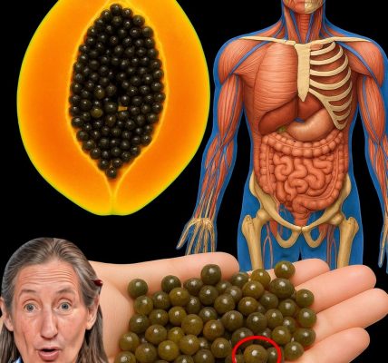 🌱 Don’t Toss Those Papaya Seeds! Unlock Their Hidden Superfood Powers for Health and Savings 🌱 Don’t Toss Those Papaya Seeds! Unlock Their Hidden Superfood Powers for Health and Savings