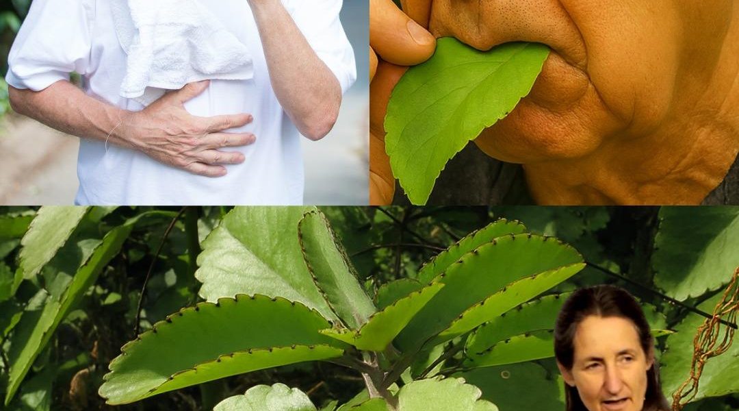 15 Hidden Powers to Transform Your Health Today 15 Hidden Powers to Transform Your Health Today