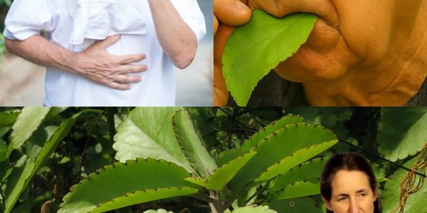 15 Hidden Powers to Transform Your Health Today 15 Hidden Powers to Transform Your Health Today