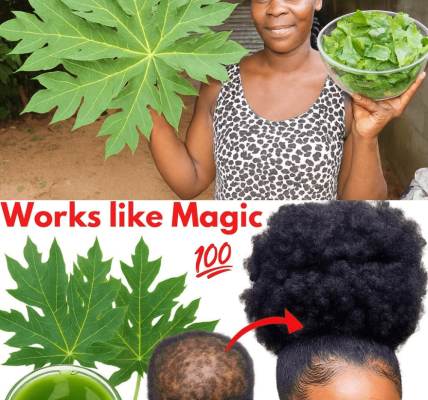 🌿 Papaya Leaves: The Secret Hair Growth Elixir You’ll Wish You Tried Sooner 🌿 Papaya Leaves: The Secret Hair Growth Elixir You’ll Wish You Tried Sooner