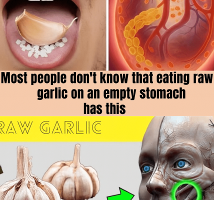 đ§ The Morning Garlic Ritual: What Happens When You Eat Garlic on an Empty Stomach for 7 Days? đ§ The Morning Garlic Ritual: What Happens When You Eat Garlic on an Empty Stomach for 7 Days?