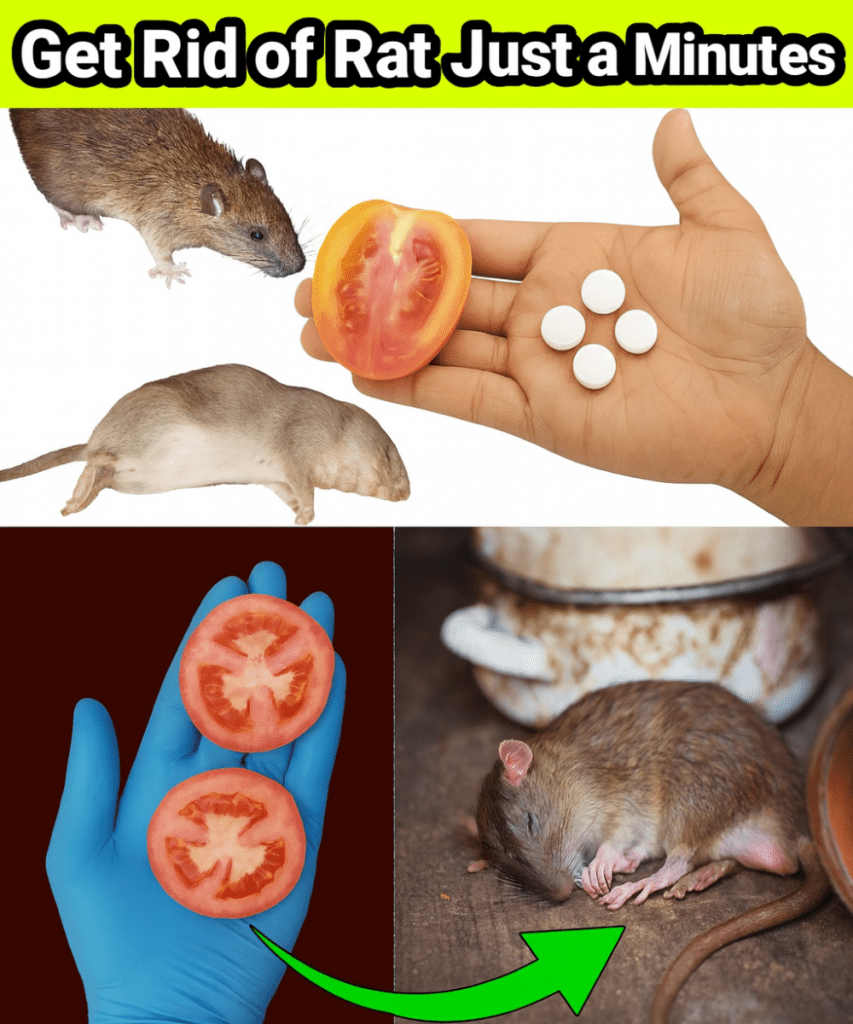 This image has an empty alt attribute; its file name is JGYHGH-2025-09-20T105932.031-853x1024.png