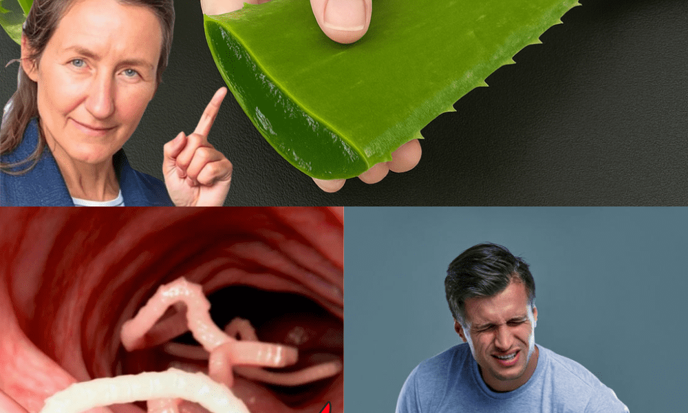 🌿 The Ultimate Natural Powerhouse: Why This Aloe Vera Elixir Outshines Garlic, Lemon, and Antibiotics 🌿 The Ultimate Natural Powerhouse: Why This Aloe Vera Elixir Outshines Garlic, Lemon, and Antibiotics