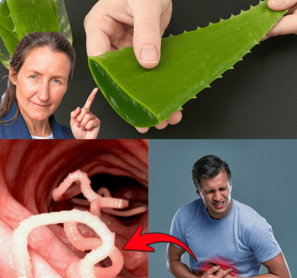 🌿 The Ultimate Natural Powerhouse: Why This Aloe Vera Elixir Outshines Garlic, Lemon, and Antibiotics 🌿 The Ultimate Natural Powerhouse: Why This Aloe Vera Elixir Outshines Garlic, Lemon, and Antibiotics