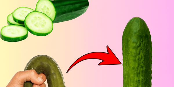 🌟 Rediscover Your Spark: The Nightly Juice That Revives Passion and Youthful Energy 🌟 Rediscover Your Spark: The Nightly Juice That Revives Passion and Youthful Energy