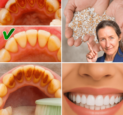 The Secret to a Dazzling Smile Is Hiding in Your Trash: Unlock Eggshells’ Power for Whiter, Stronger Teeth