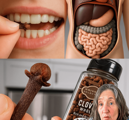 🌱 The Tiny Spice with Huge Health Benefits: Why Chewing Cloves Daily Could Transform Your Wellness 🌱 The Tiny Spice with Huge Health Benefits: Why Chewing Cloves Daily Could Transform Your Wellness