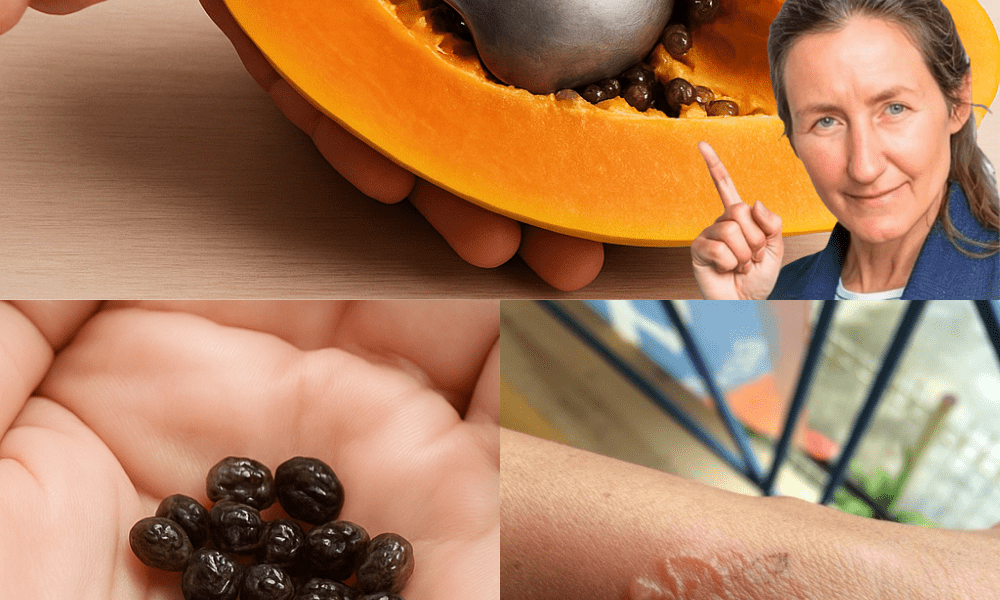 Papaya Seeds: The Tiny Powerhouse You’re Throwing Away That Could Transform Your Health Papaya Seeds: The Tiny Powerhouse You’re Throwing Away That Could Transform Your Health