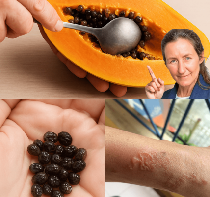 Papaya Seeds: The Tiny Powerhouse You’re Throwing Away That Could Transform Your Health Papaya Seeds: The Tiny Powerhouse You’re Throwing Away That Could Transform Your Health
