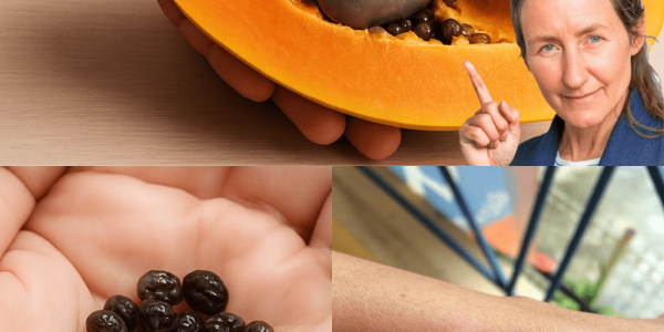 Papaya Seeds: The Tiny Powerhouse You’re Throwing Away That Could Transform Your Health Papaya Seeds: The Tiny Powerhouse You’re Throwing Away That Could Transform Your Health