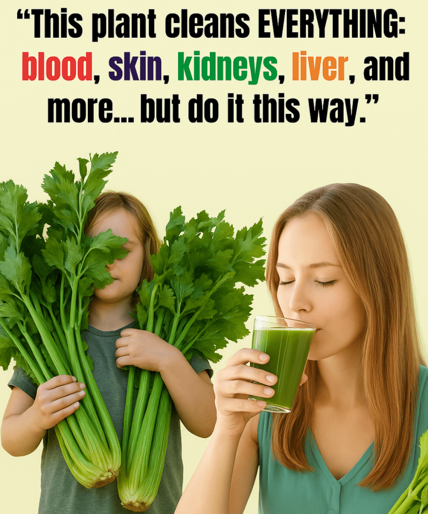 This image has an empty alt attribute; its file name is JGYHGH-2025-09-23T082316.170-853x1024.png