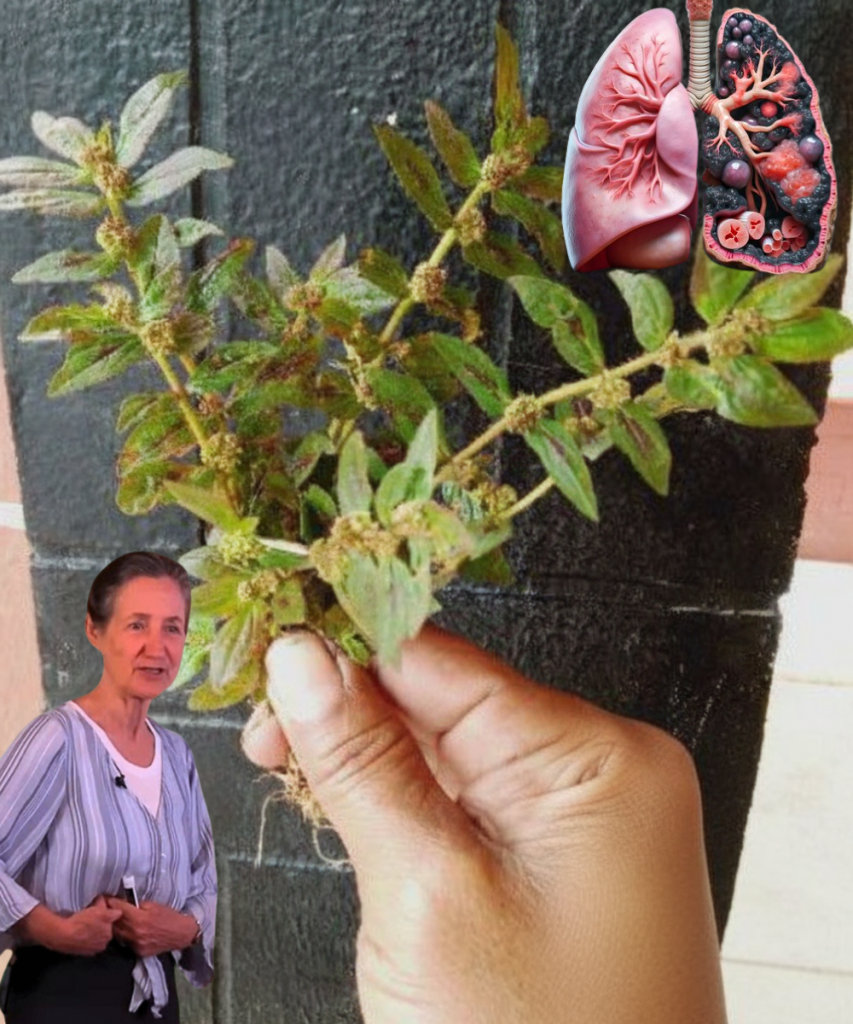 This image has an empty alt attribute; its file name is JGYHGH-2025-09-25T100841.643-853x1024.png