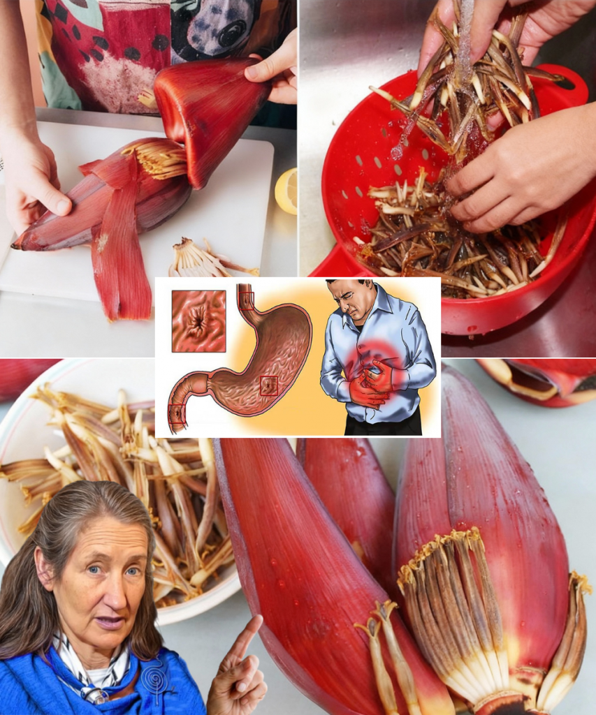 This image has an empty alt attribute; its file name is JGYHGH-2025-09-29T155714.422-853x1024.png