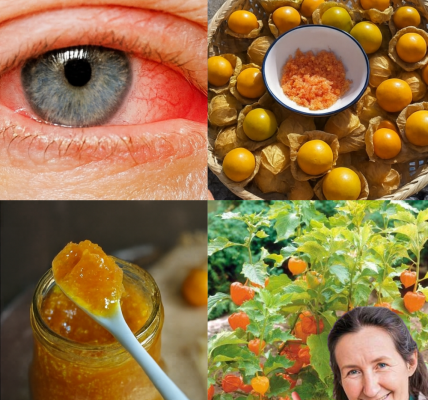 🌟 Goldenberries: Unlock the Secret Superfruit That’s Changing Lives!