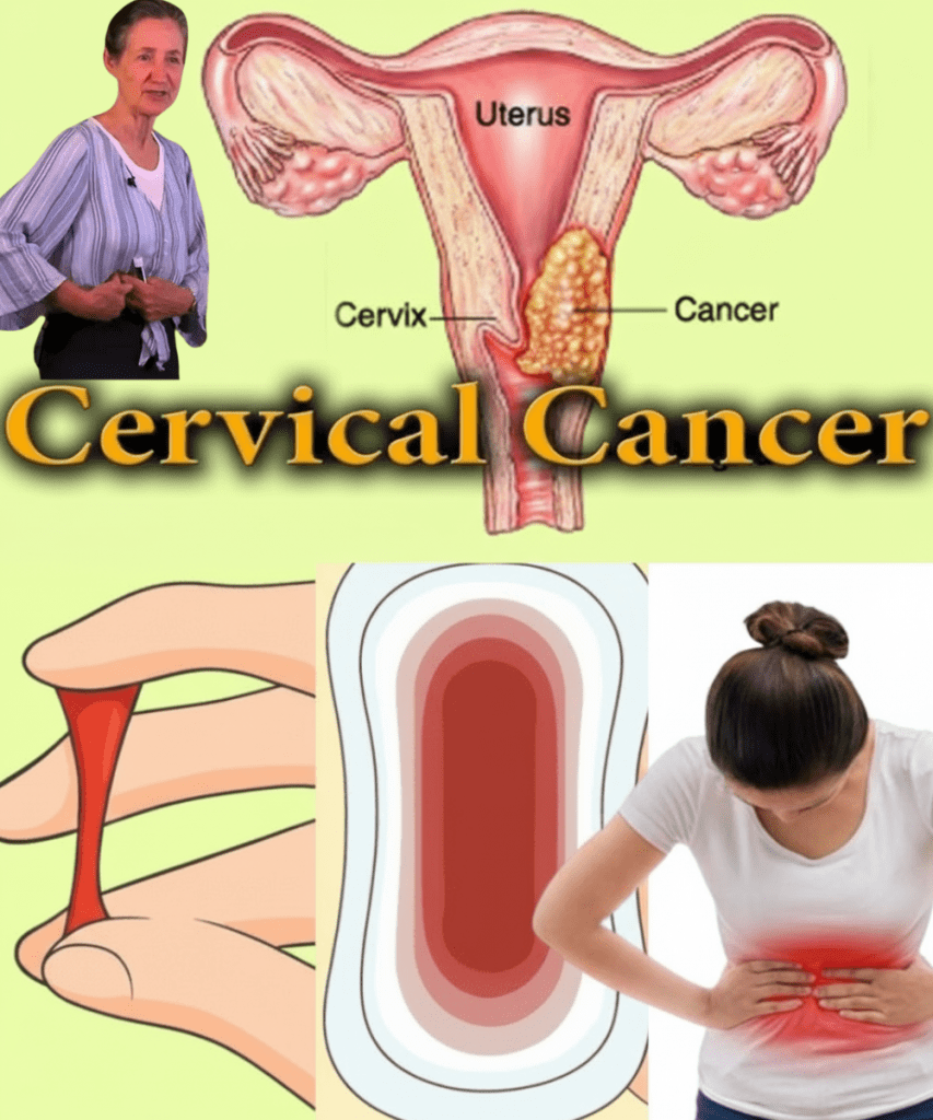 This image has an empty alt attribute; its file name is JGYHGH-2025-09-30T221201.206-853x1024.png