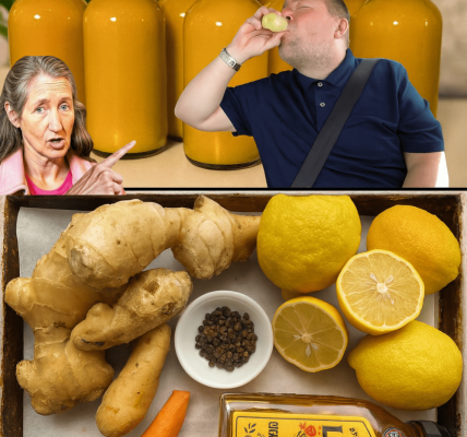 Lemon Ginger Turmeric Power Shots: Your Daily Dose of Vibrant Health Lemon Ginger Turmeric Power Shots: Your Daily Dose of Vibrant Health