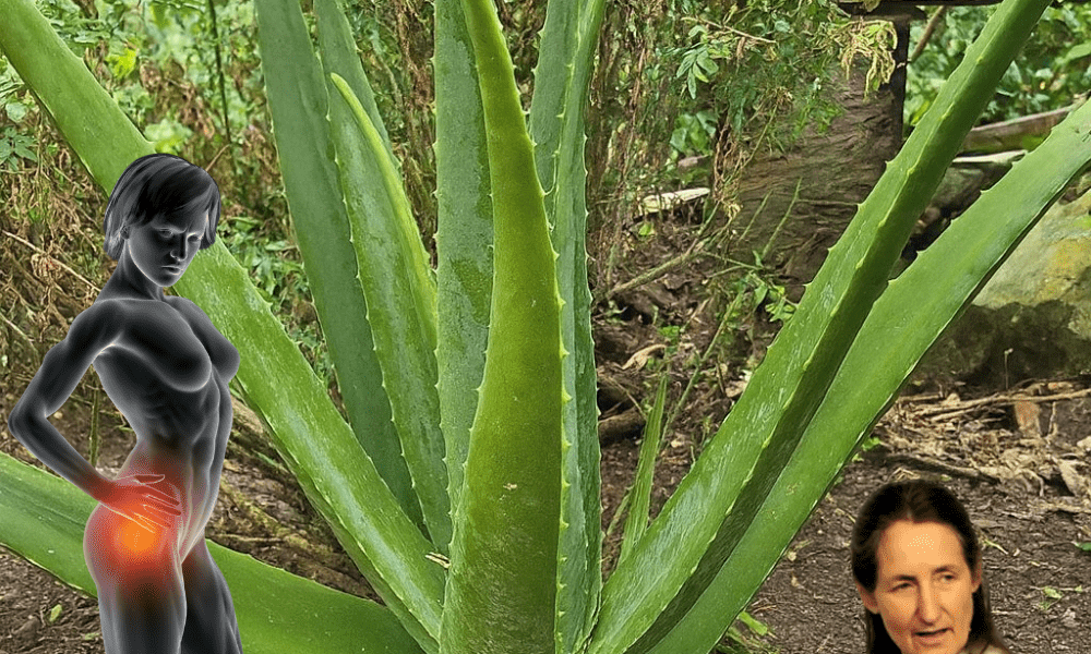 25 Life-Changing Benefits to Replace Your Medicine Cabinet 25 Life-Changing Benefits to Replace Your Medicine Cabinet