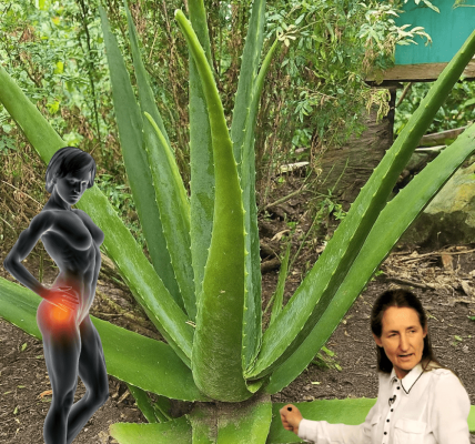 25 Life-Changing Benefits to Replace Your Medicine Cabinet 25 Life-Changing Benefits to Replace Your Medicine Cabinet