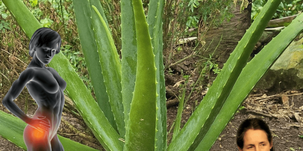 25 Life-Changing Benefits to Replace Your Medicine Cabinet