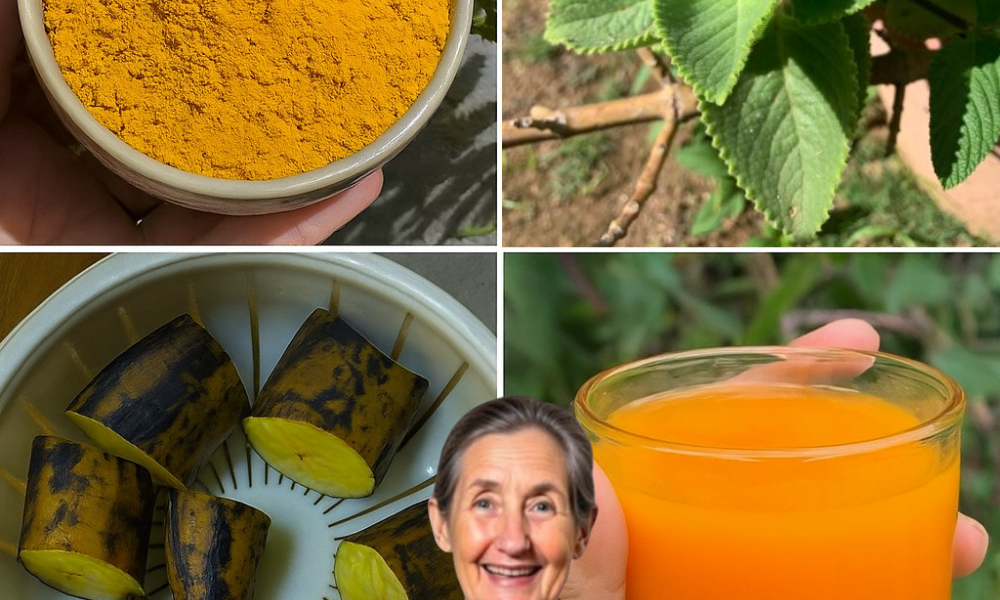 At 60, I Rediscovered My Vitality with This Simple, Natural Tea – Here’s How It Changed My Life At 60, I Rediscovered My Vitality with This Simple, Natural Tea – Here’s How It Changed My Life