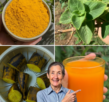 At 60, I Rediscovered My Vitality with This Simple, Natural Tea – Here’s How It Changed My Life At 60, I Rediscovered My Vitality with This Simple, Natural Tea – Here’s How It Changed My Life