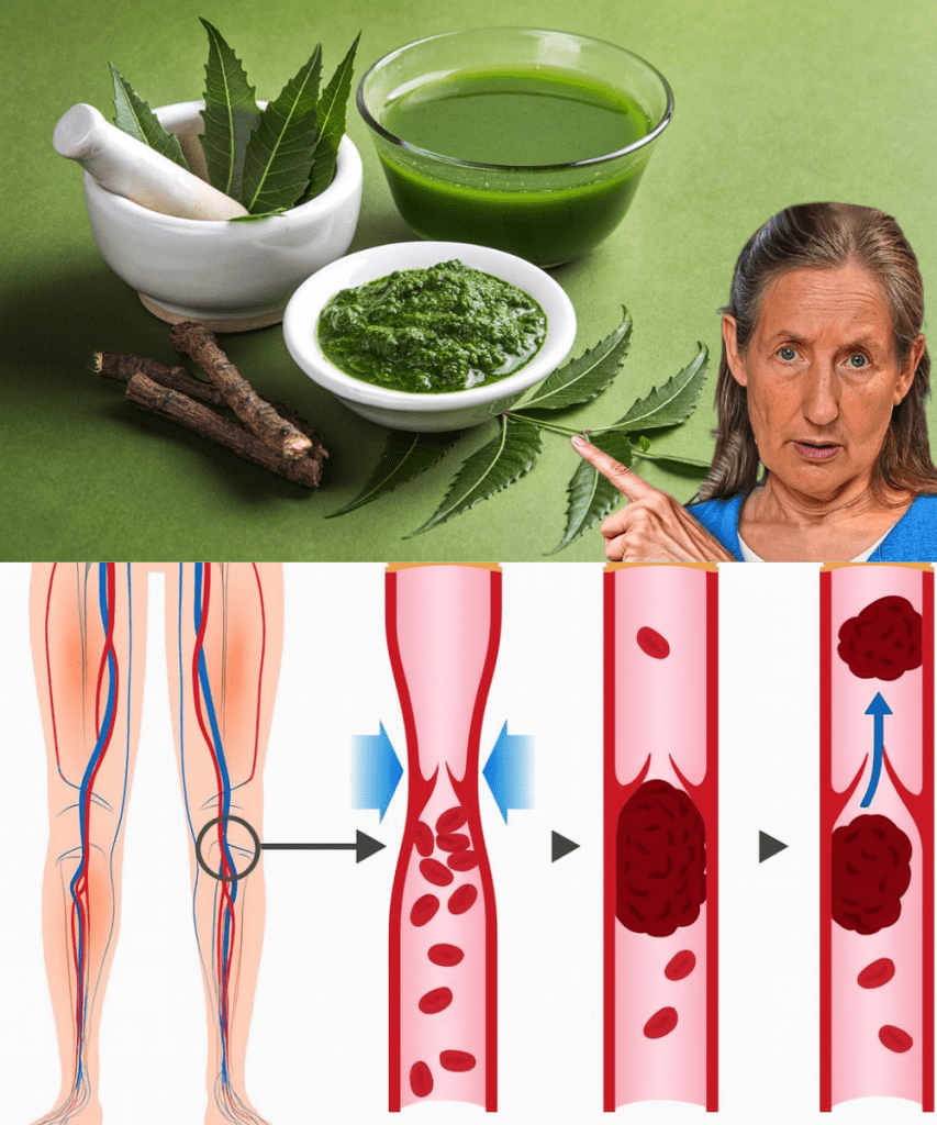 This image has an empty alt attribute; its file name is JGYHGH-7-853x1024.png