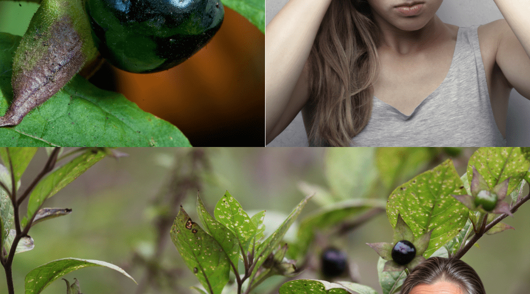 đż The Beautiful Yard Invader You Never Knew Could Kill: Daturaâs Deadly Secrets Exposed! đż The Beautiful Yard Invader You Never Knew Could Kill: Daturaâs Deadly Secrets Exposed!