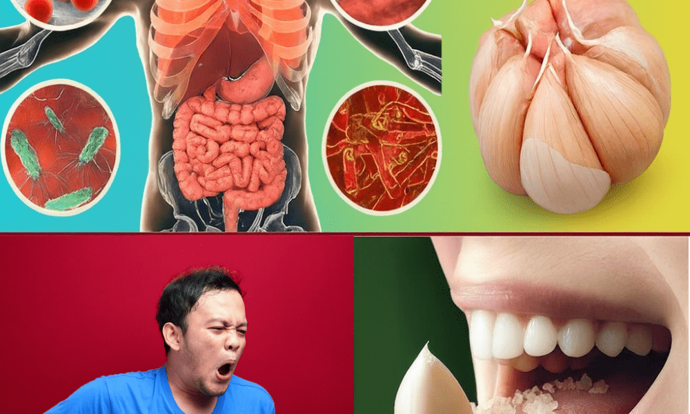 🌟 Why One Garlic Clove a Day Could Change Your Life Forever 🌟 Why One Garlic Clove a Day Could Change Your Life Forever