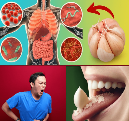 š Why One Garlic Clove a Day Could Change Your Life Forever š Why One Garlic Clove a Day Could Change Your Life Forever