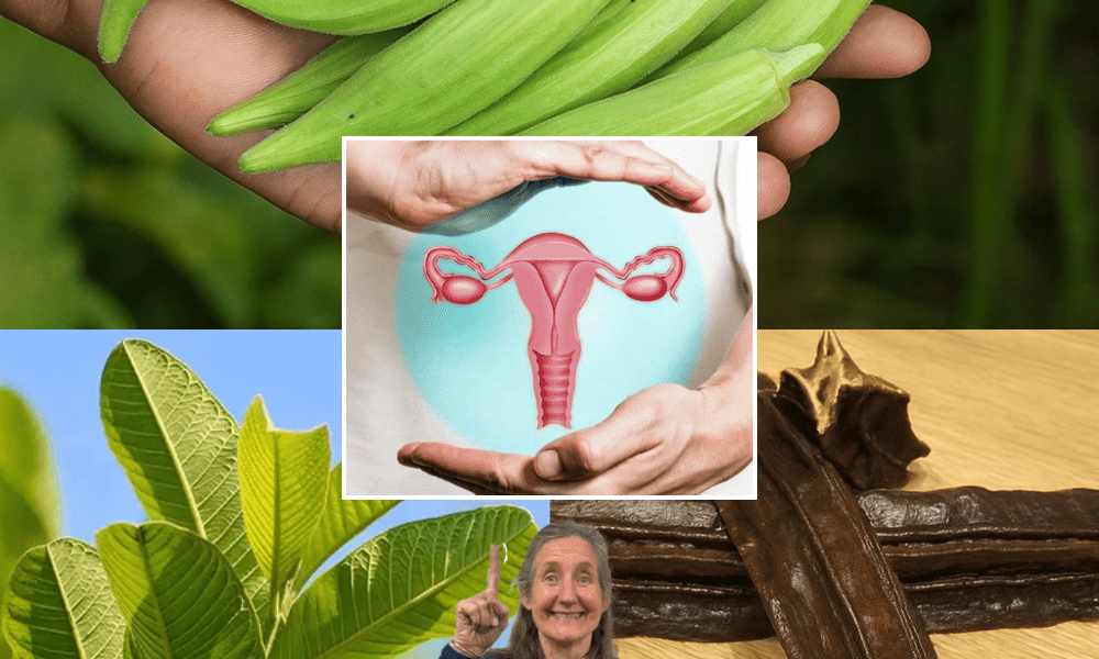 đż Unlock Natureâs Secrets: Boost Ovulation Naturally with Guava Leaf, Aidan Fruit, and Okra đż Unlock Natureâs Secrets: Boost Ovulation Naturally with Guava Leaf, Aidan Fruit, and Okra